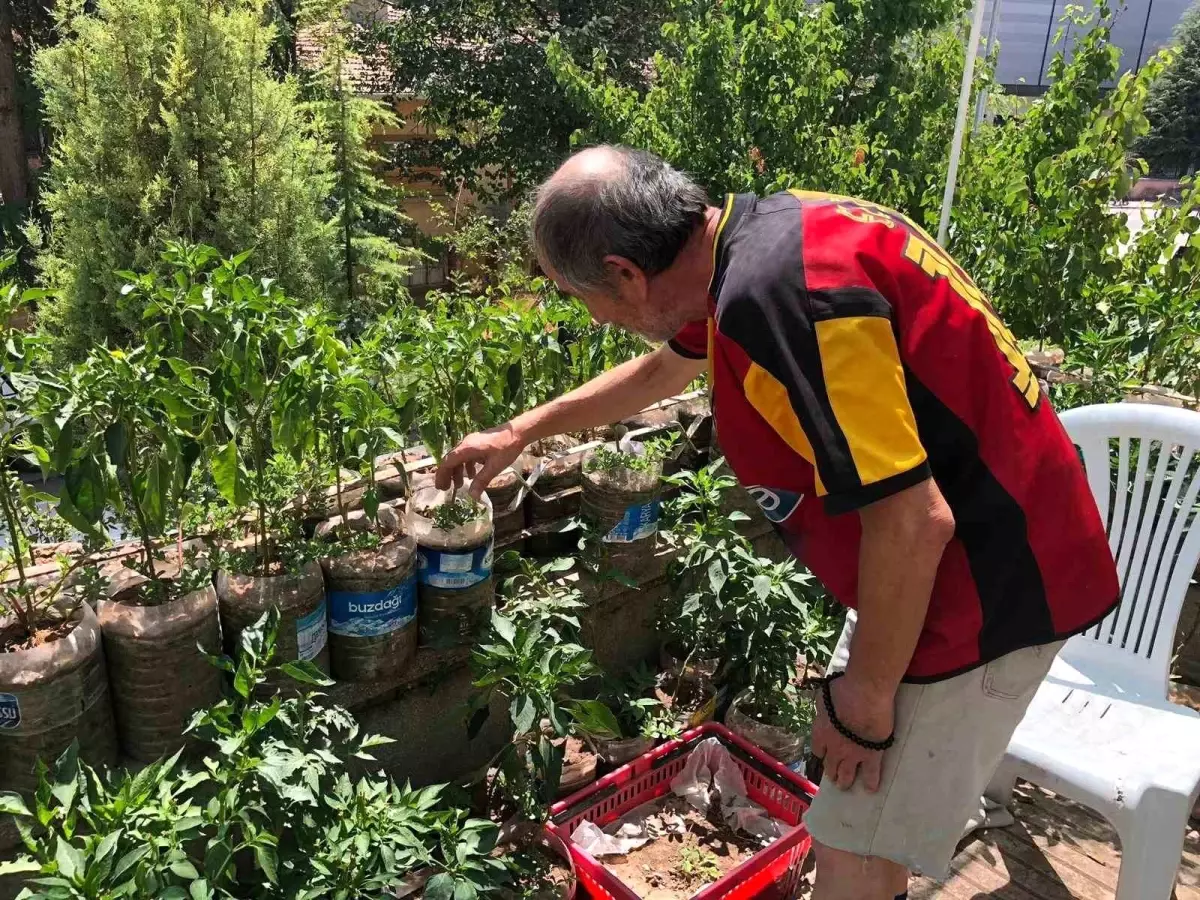 Eskişehirli Esnaf Balkonunu Sebze Bahçesine Dönüştürdü