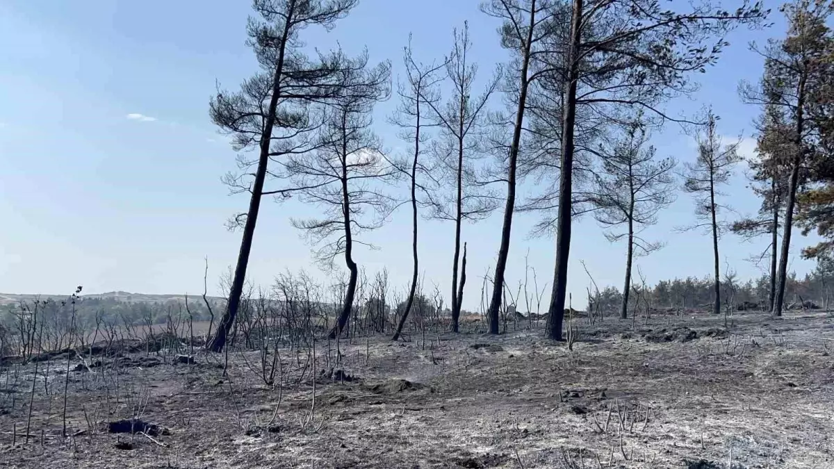 Çanakkale'de Orman Yangını Kontrol Altına Alındı