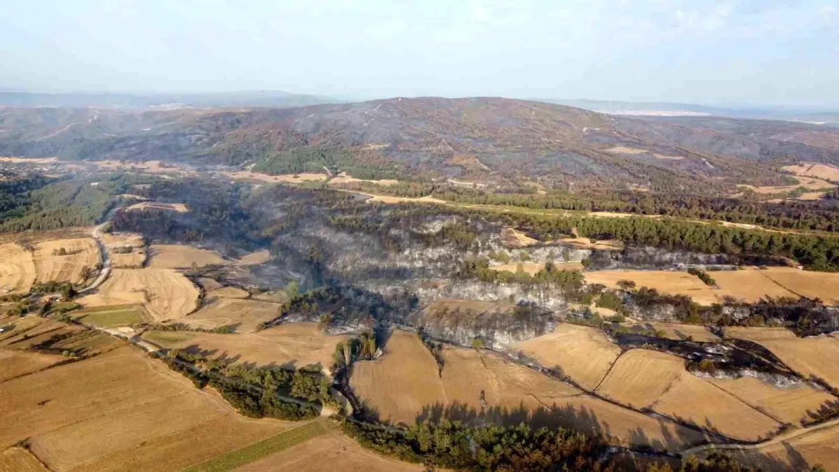 Çanakkale'de Orman Yangınına Müdahale Devam Ediyor