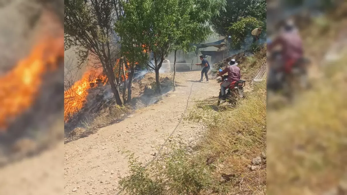 Malatya'da Orman Yangını: 1 Ev Zarar Gördü