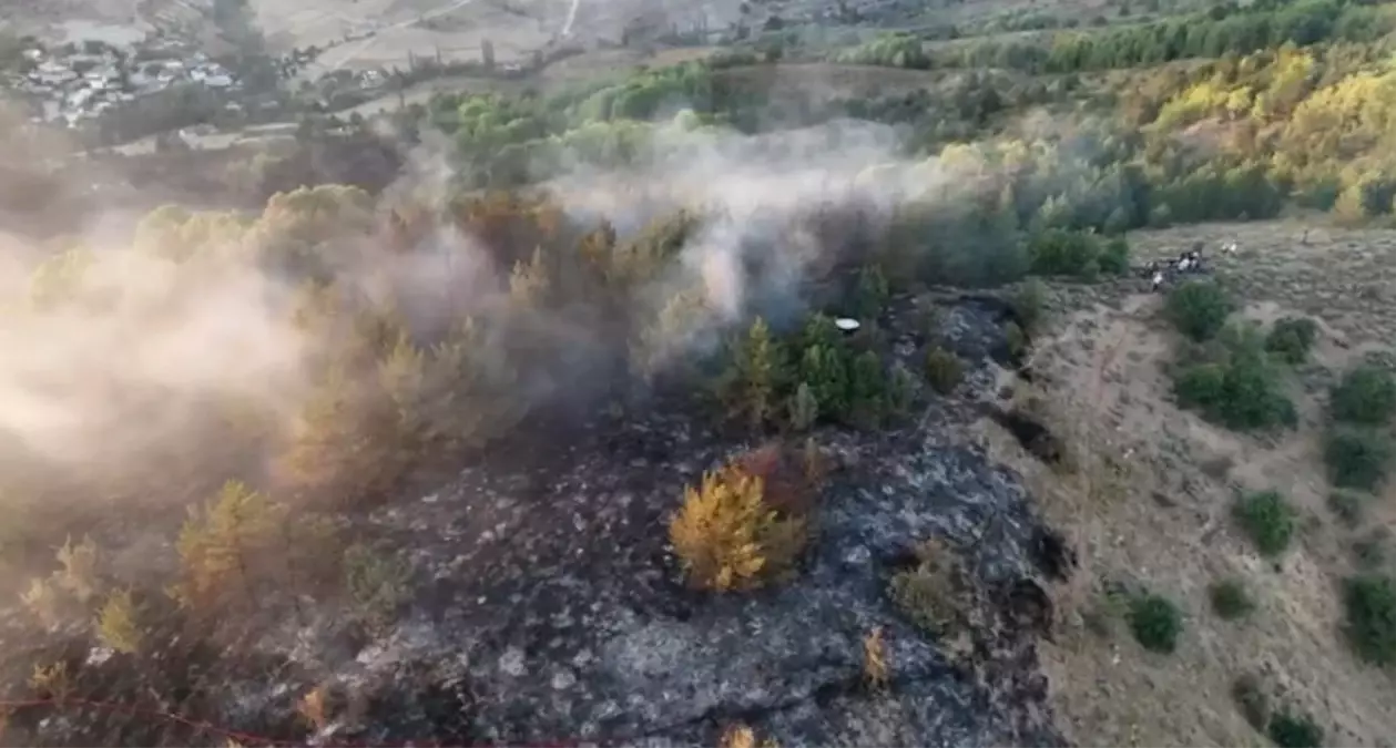 Ordu'da Ormanda Yangın: 4 Saatlik Mücadele Sonrası Kontrol Altına Alındı