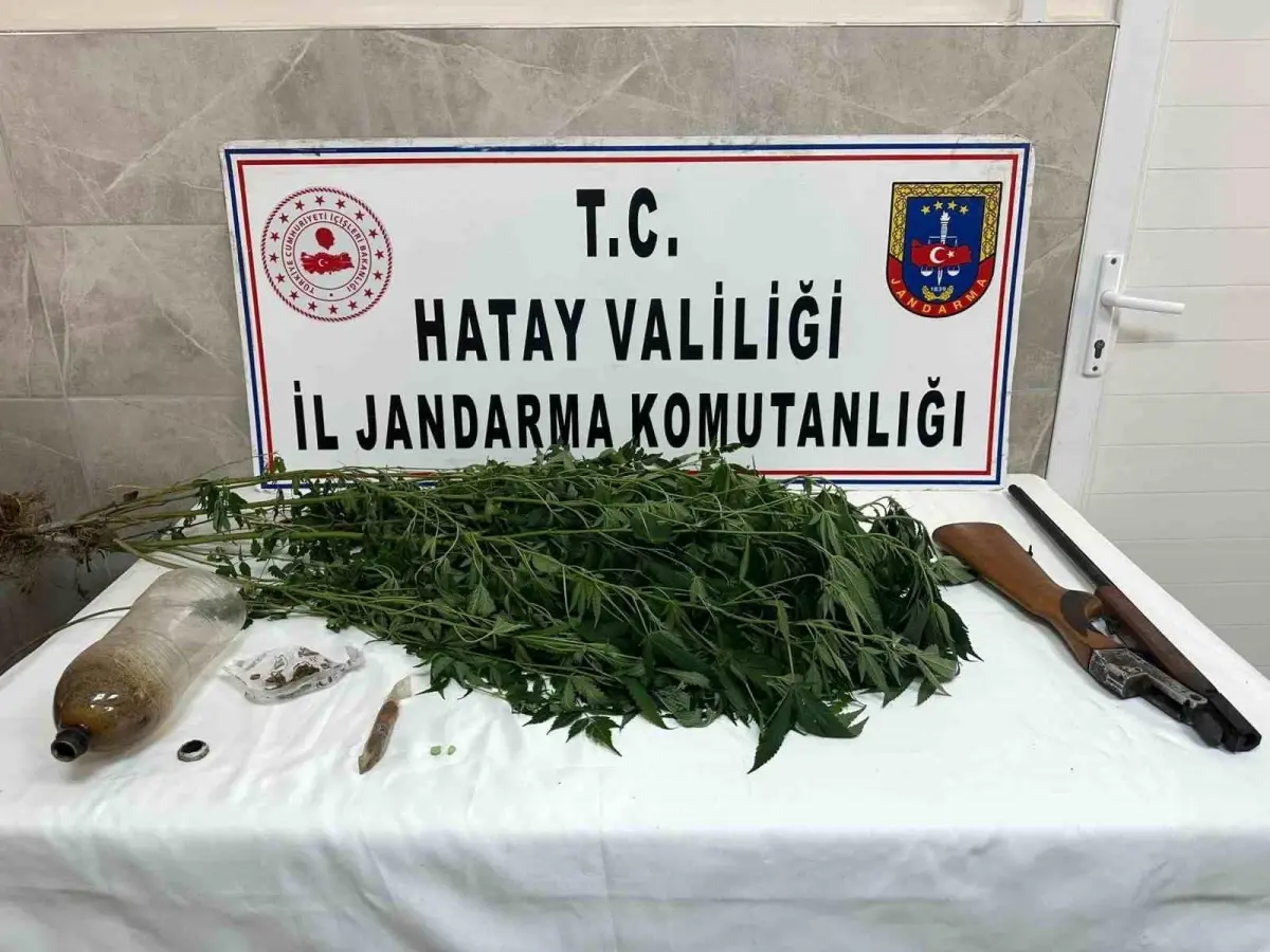 Hatay'da Uyuşturucu Operasyonu: 5 Kök Kenevir ve Uyuşturucu Hap Ele Geçirildi