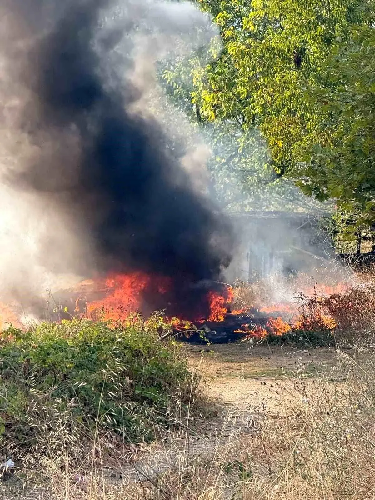 Zonguldak'ta Kaza: Otomobil Şarampole Uçtu, Alevler İçinde Kaldı