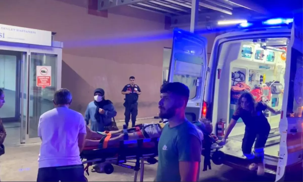 Koyun Sürüsüne Çarpan Motosiklet Sürücüsü Yaralandı