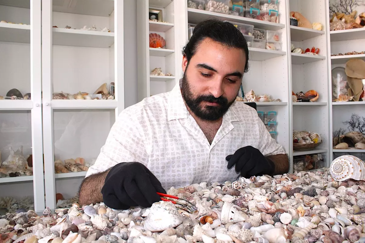 Deniz Kabuğu Aşığı Mühendisin 10 Milyon Parça Koleksiyonu