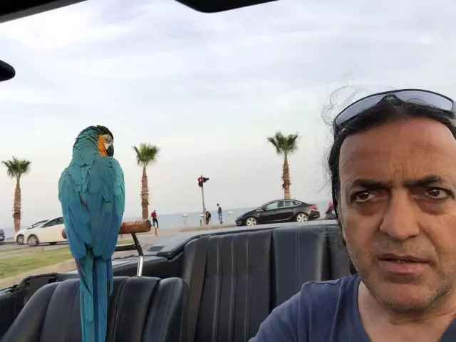 8 cumhurbaskani turgut ozal in papagani cabba 5 18976131 o