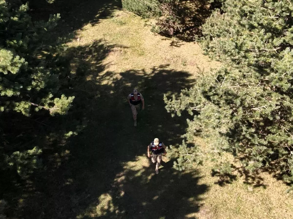 Ardahan'da Jandarma Ekipleri Orman Yangınlarına Karşı Devriye Görevinde