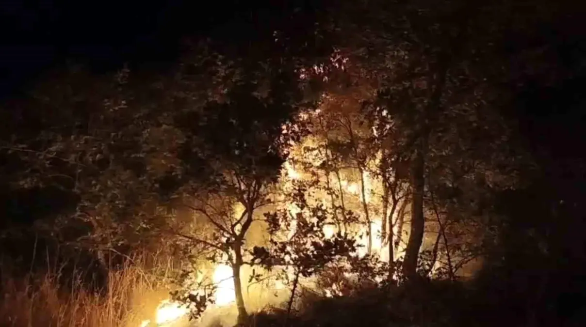 Balıkesir'de Şehir Çöplüğünde Yangın: Alevler Araziye Sıçradı