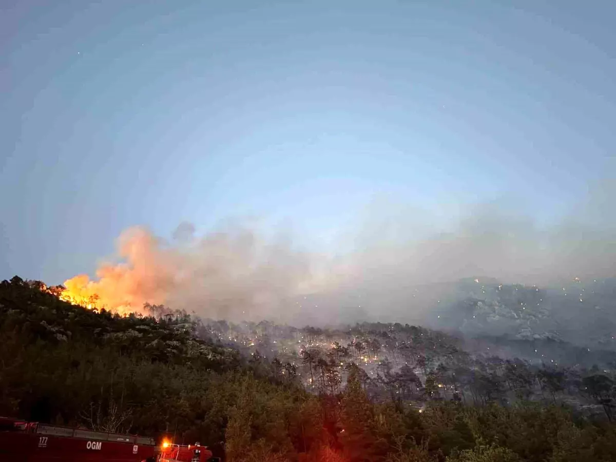 Denizli'de Orman Yangını Kontrol Altına Alındı