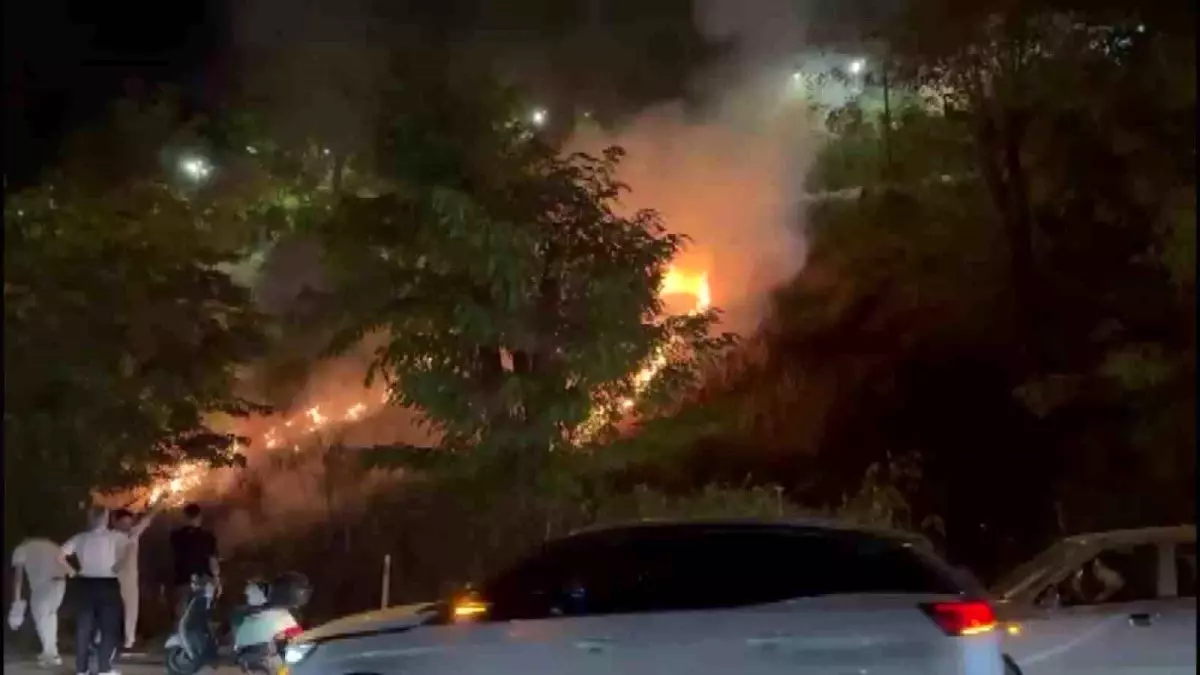 Sapanca'da Meşale Sebebiyle Yangın Çıktı