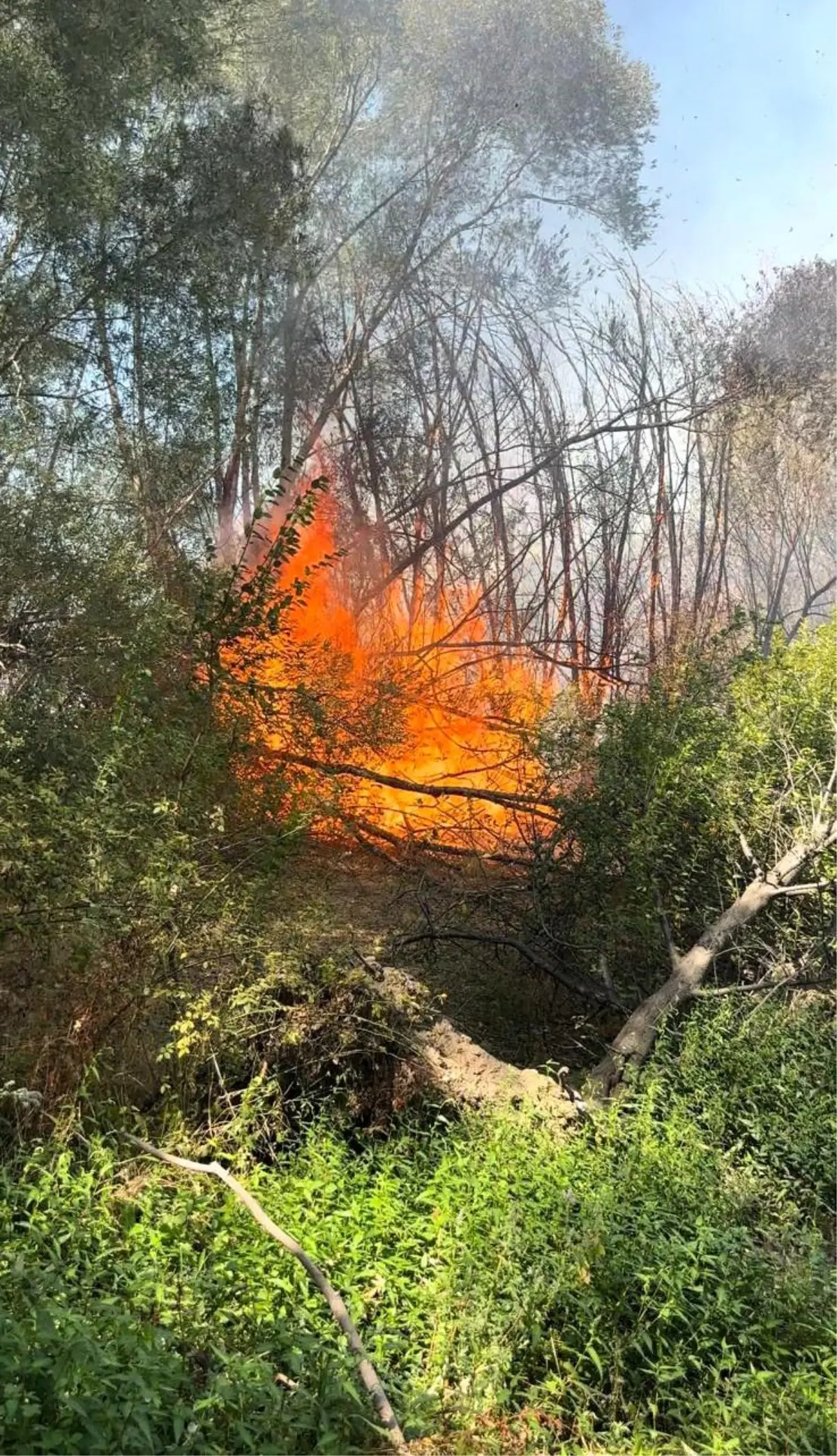 Elazığ'da Otluk Alanda Yangın
