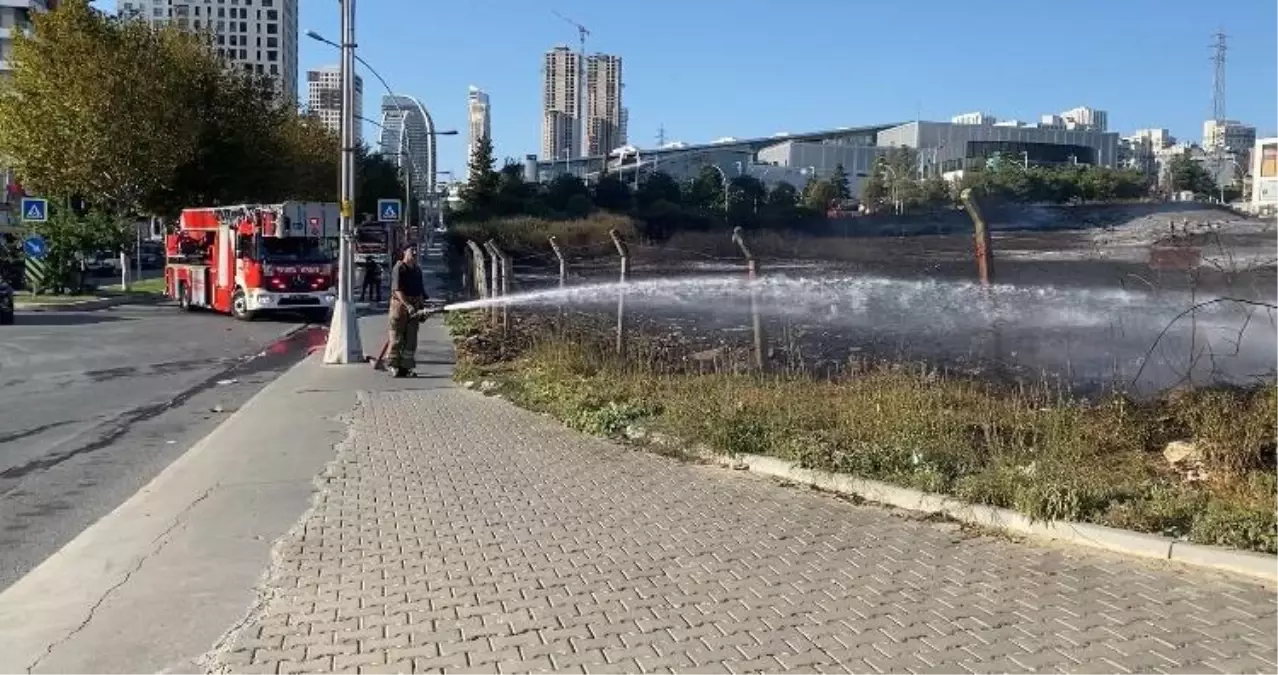 Esenyurt'ta Otluk Alanda Yangın Çıktı