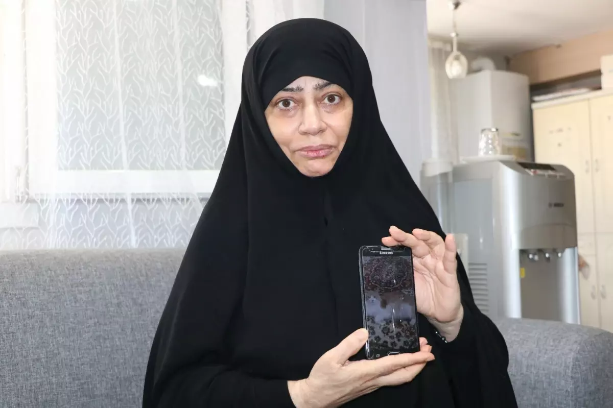 Kaybolan Kedisi İçin 5 Bin Lira Ödül Veriyor