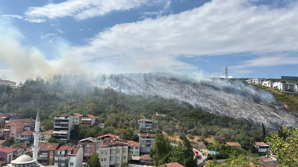 Kocaeli'nde Orman Yangını: Valilikten Açıklama