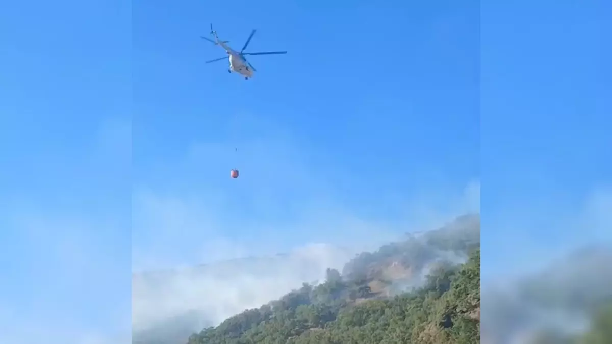 Doğanyol'daki Orman Yangını 21 Saat Sonra Kontrol Altına Alındı