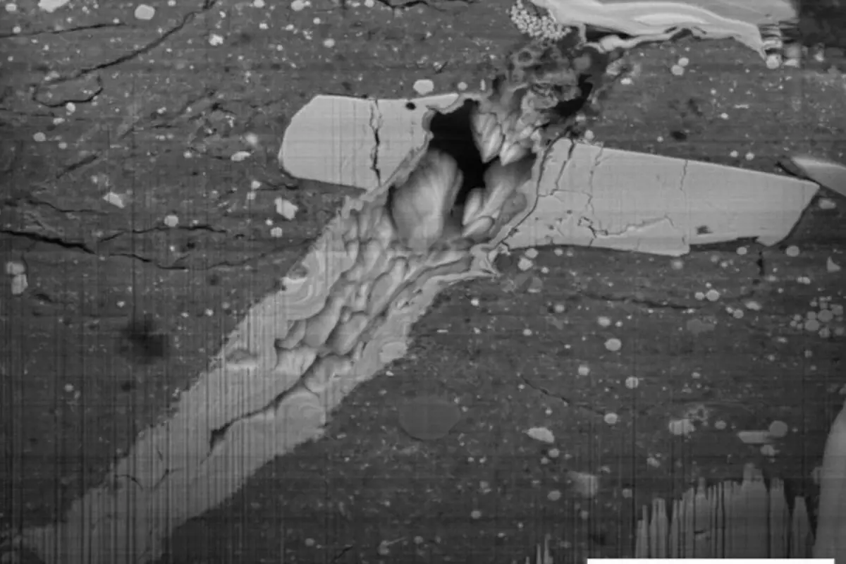 NASA'nın uzay aracı 'yıldız tozu' getirdi