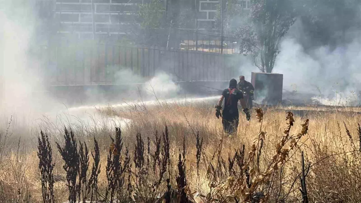 Sivas'ta Otluk Alanda Yangın Çıktı