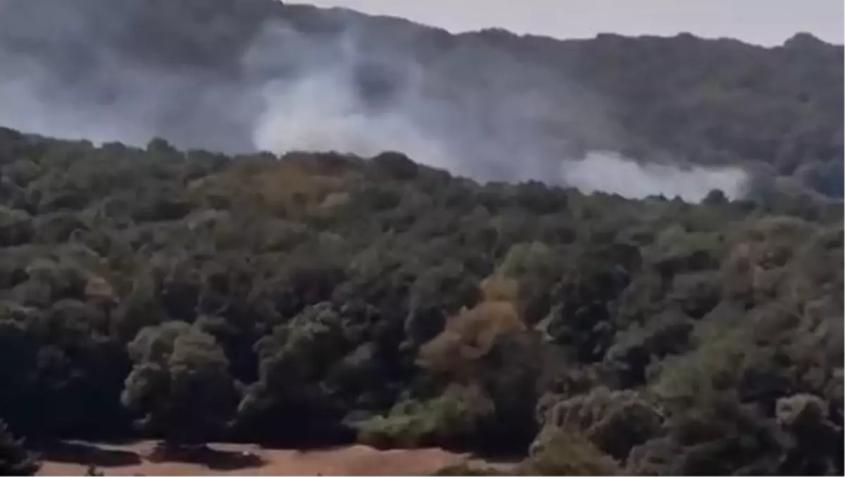 Sarıyer'de ormanda yangın-1