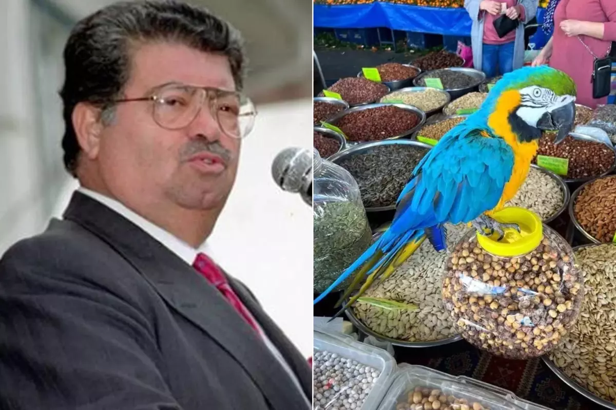 Turgut Özal'ın papağanı yine çalındı