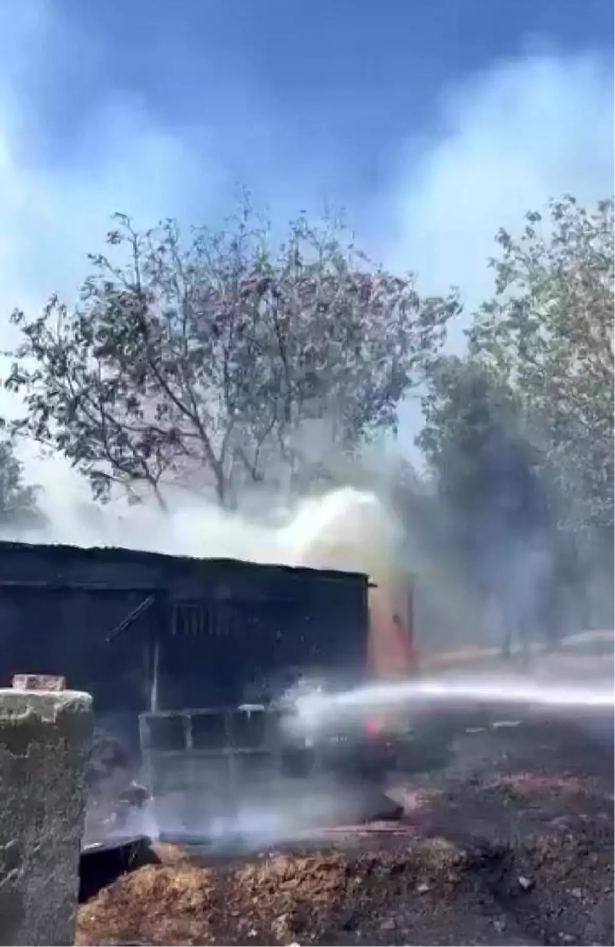 Derince&apos;de Ağaçlık Alanda Yangın
