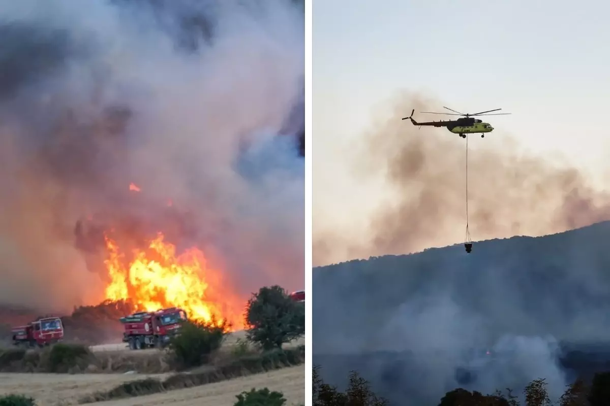 Balıkesir&apos;de arazide çıkan yangın ormanlık alana sıçradı
