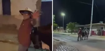 İnanılmaz olay: Kaybolan Sarhoş adamı kendi boğası bulup eve götürdü