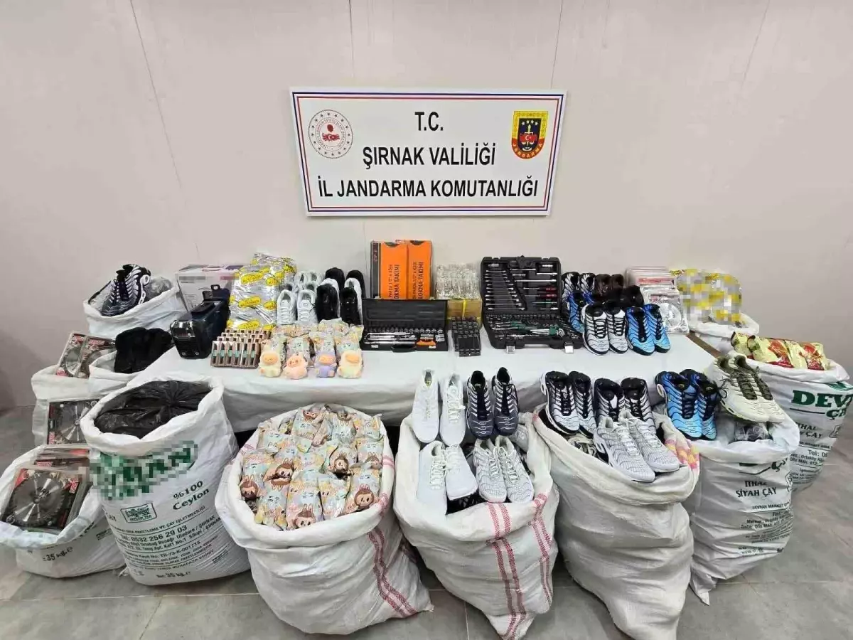 Şırnak'ta Kaçakçılık Operasyonu: 36 Kişi Gözaltına Alındı