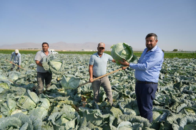 kilosu 10 liradan satiliyor hepsi 100 yillik ata 18980099 9819 m