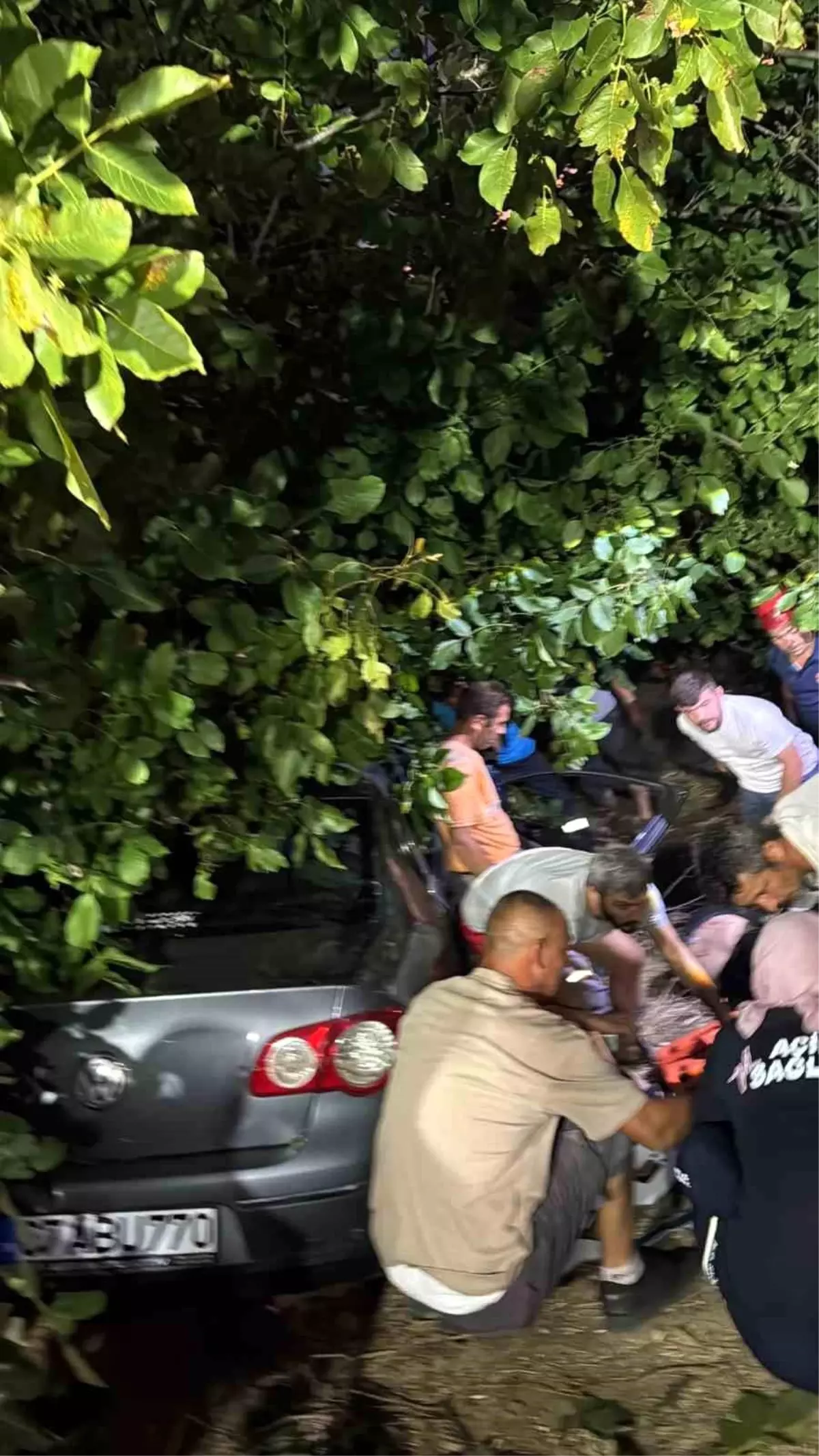 Adapazarı'nda Kontrolden Çıkan Araç Ağaçlık Alana Girdi: 3 Yaralı