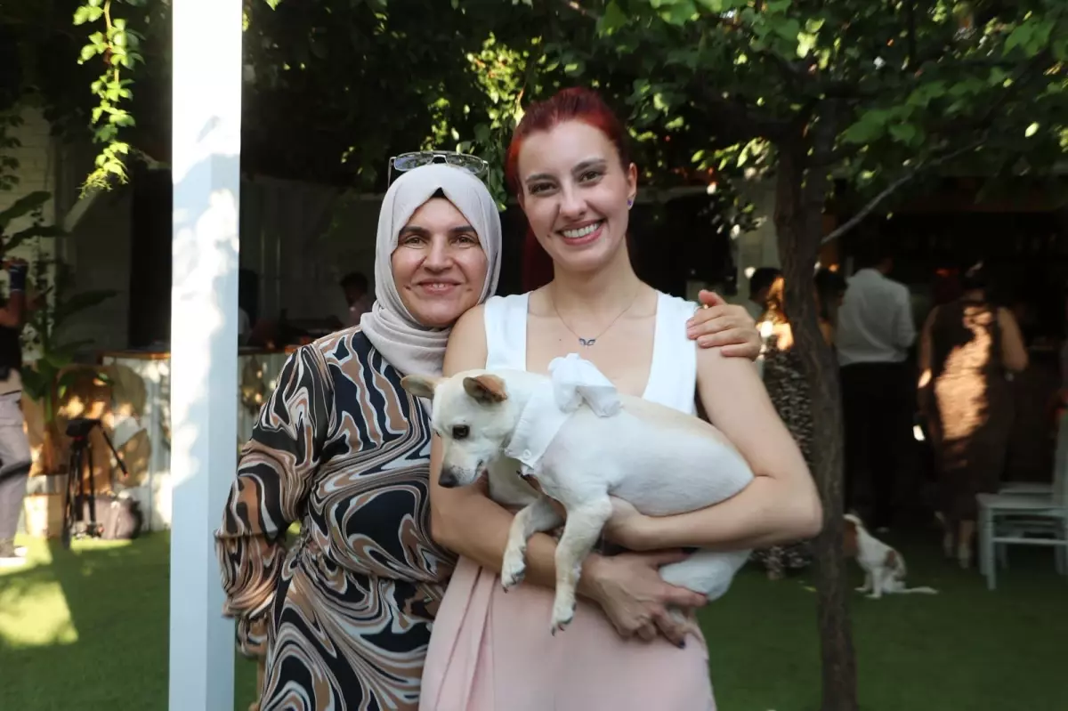 Kangal Köpekleri Şivava Cinsi Köpeğe Saldırdı: Kadın Yaralandı