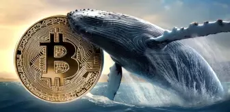 Kripto piyasasında balina satışları Bitcoin'i vurdu