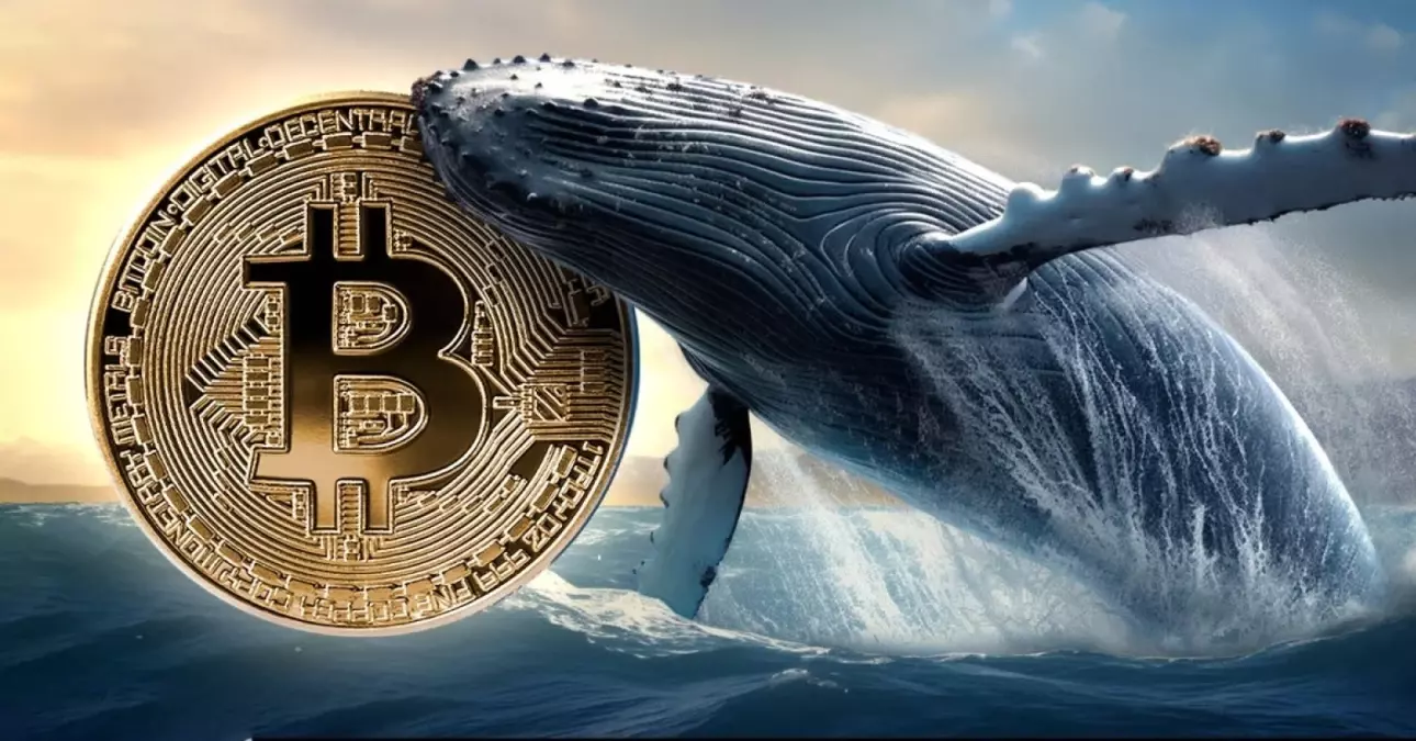 Kripto piyasasında balina satışları Bitcoin'i vurdu
