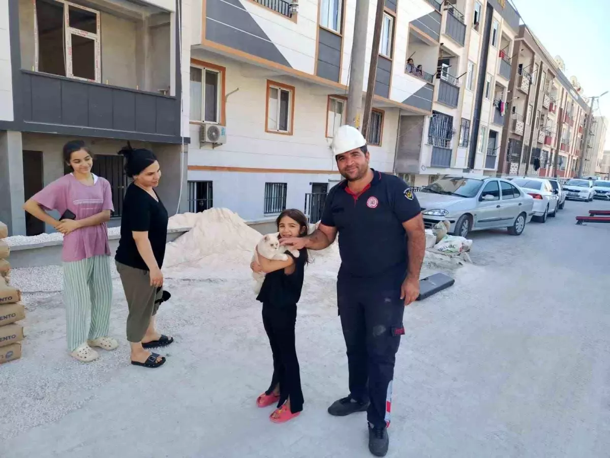 Şanlıurfa'da Mahsur Kalan Kedi İtfaiye Ekipleri Tarafından Kurtarıldı