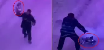 Rusya'ya ait İHA'yı eliyle yakalayıp etkisiz hale getirdi