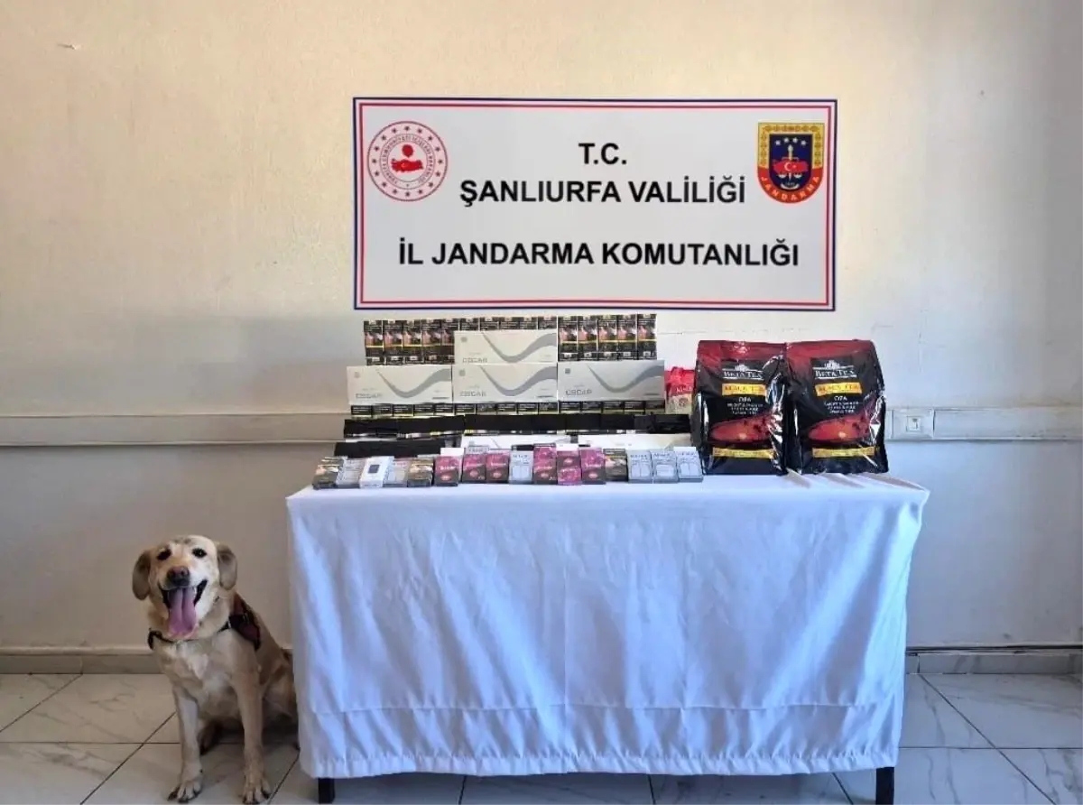 Şanlıurfa'da Gümrük Kaçağı Ürünlere Önemli Darbe