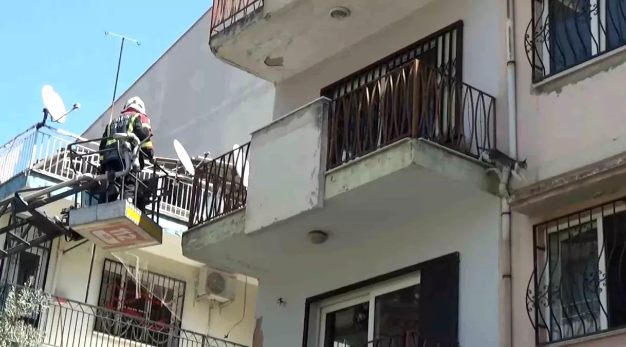 Aydın'da Mahsur Kalan Kedi, İtfaiye Ekiplerinin Gelmesini Beklemeden Kaçtı