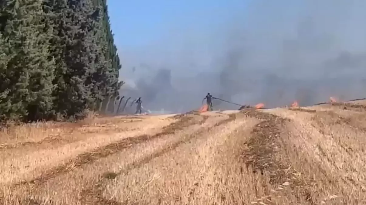 Silivri&apos;de Otluk Alan Yangını Çam Ağaçlarına Sıçradı