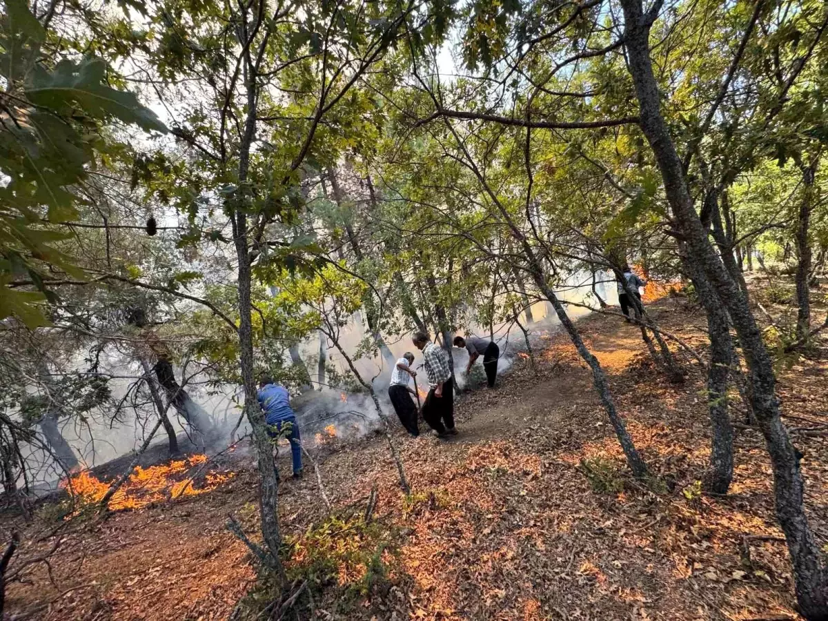 Adana'da Orman Yangını, Ekipler Müdahaleye Başladı