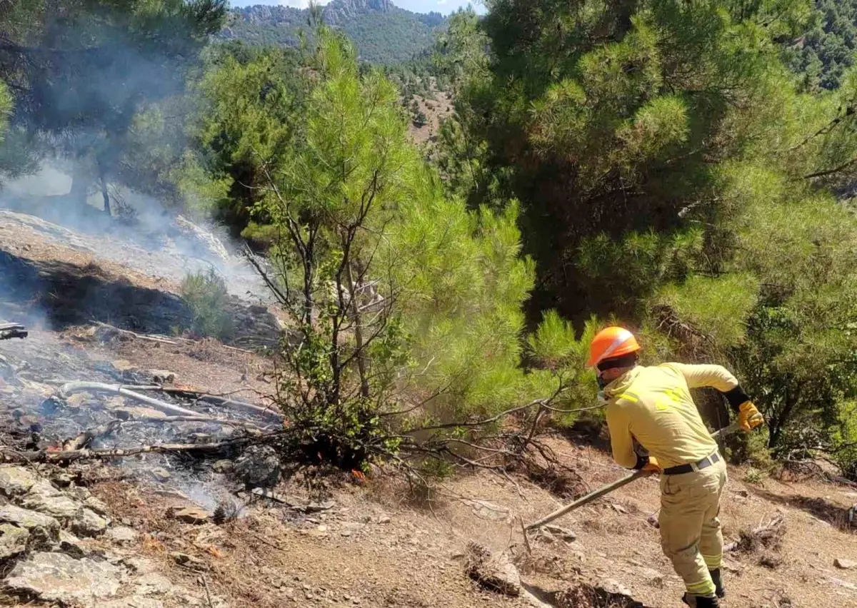 Adana'da Orman Yangını Kontrol Altına Alındı