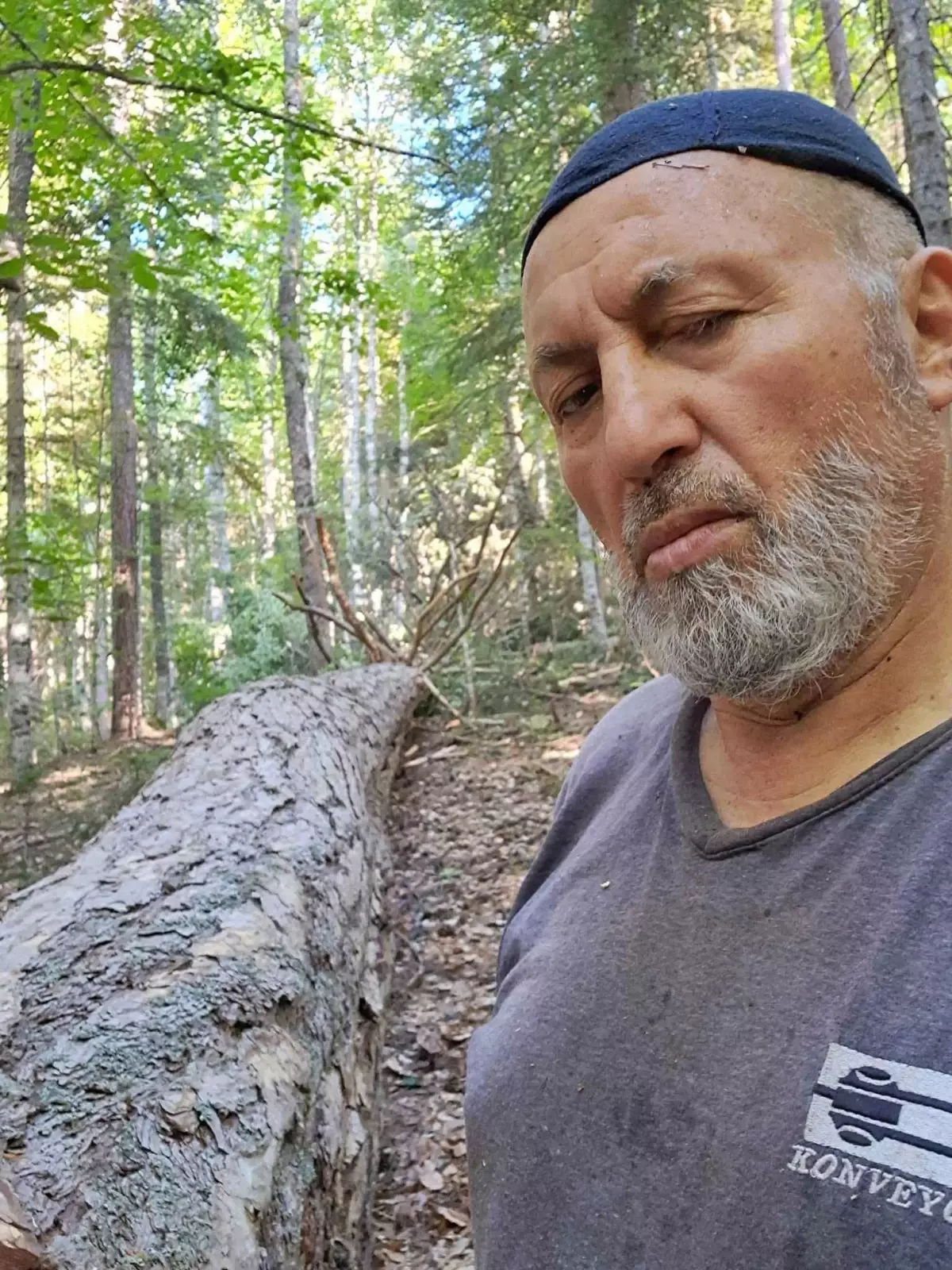Ormanda Tomrukla Yaralanan Adam Yolda Kalp Krizi Geçirerek Hayatını Kaybetti
