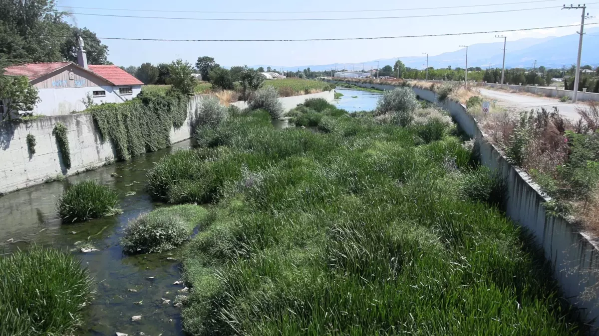 Bolu'daki Büyüksu Deresi Kuruyor