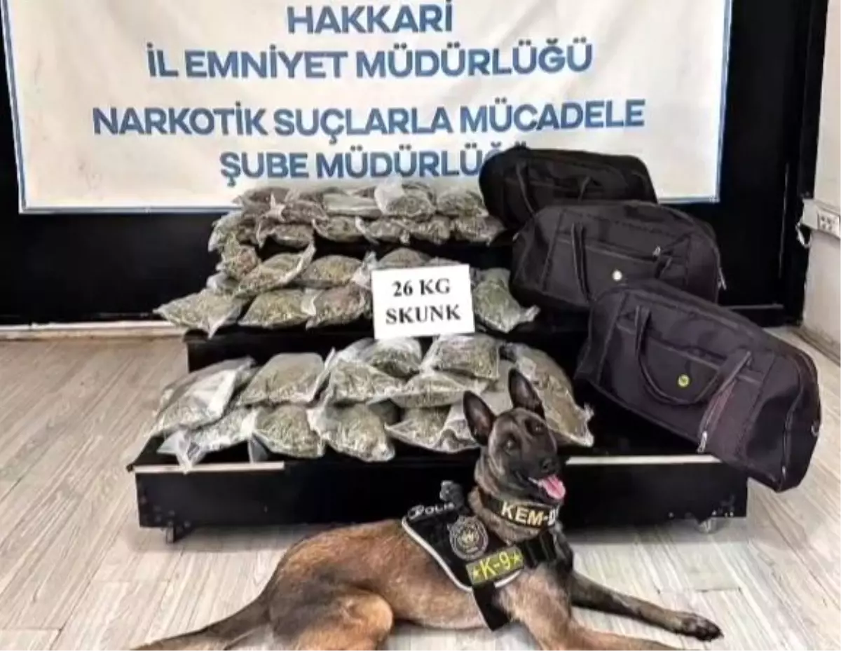 Yüksekova'da Uyuşturucu Operasyonu: 26 Kilogram Skunk Ele Geçirildi