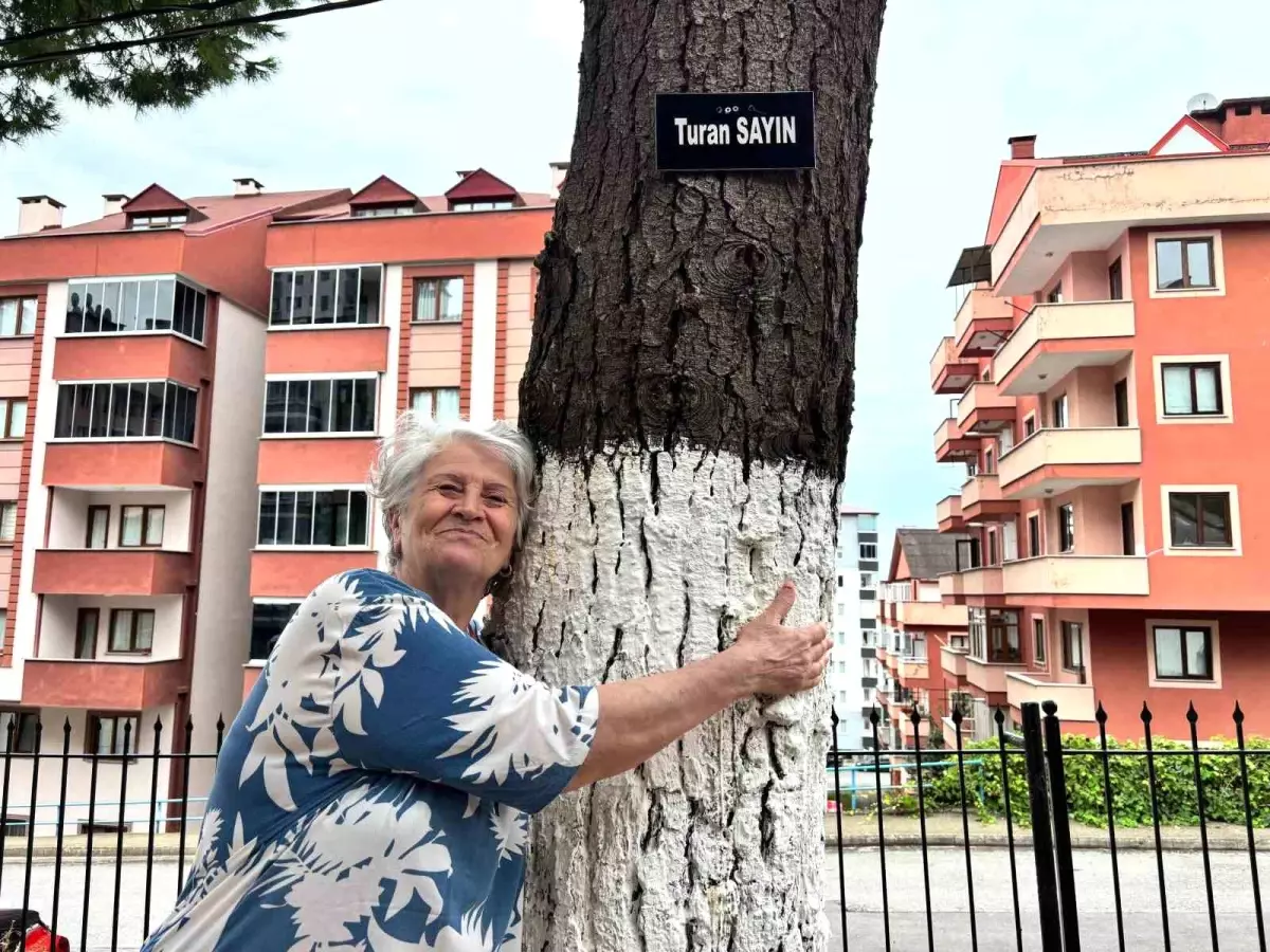 Trabzon'da Unutulmaz Eşlere Vefa: Ağaçlarda Yaşayacaklar