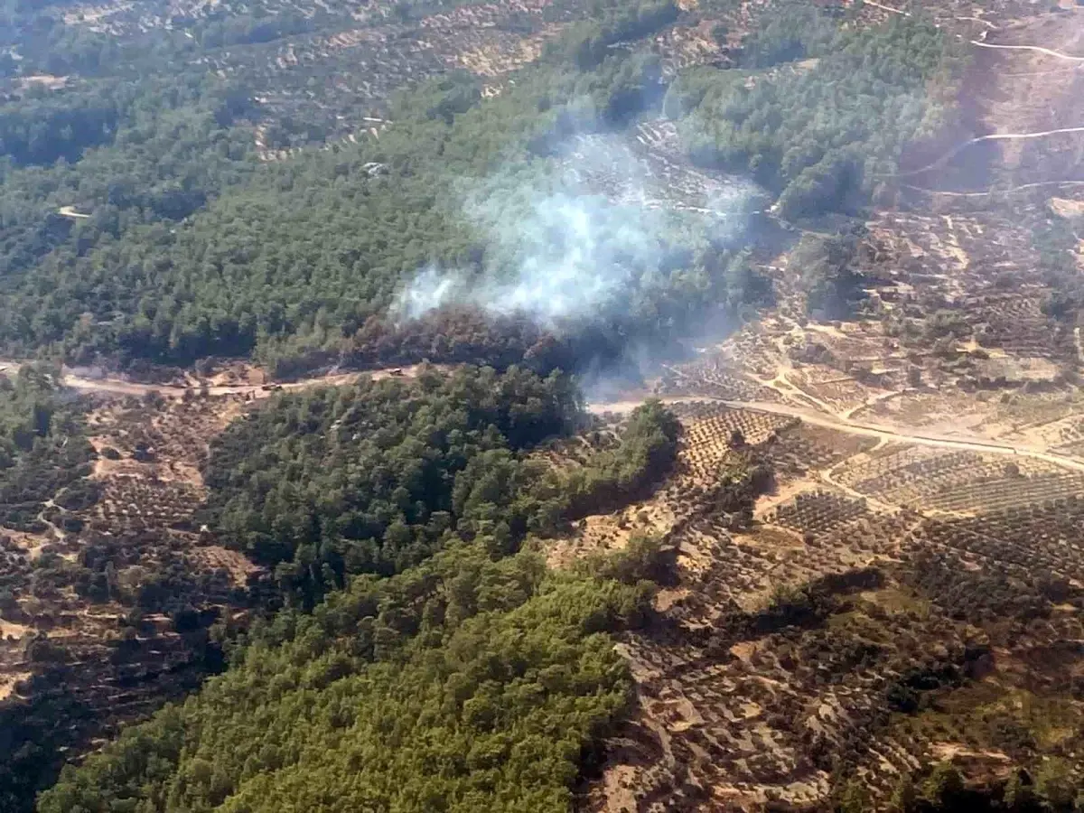 Muğla'nın Seydikemer ilçesinde orman yangını kontrol altına alındı
