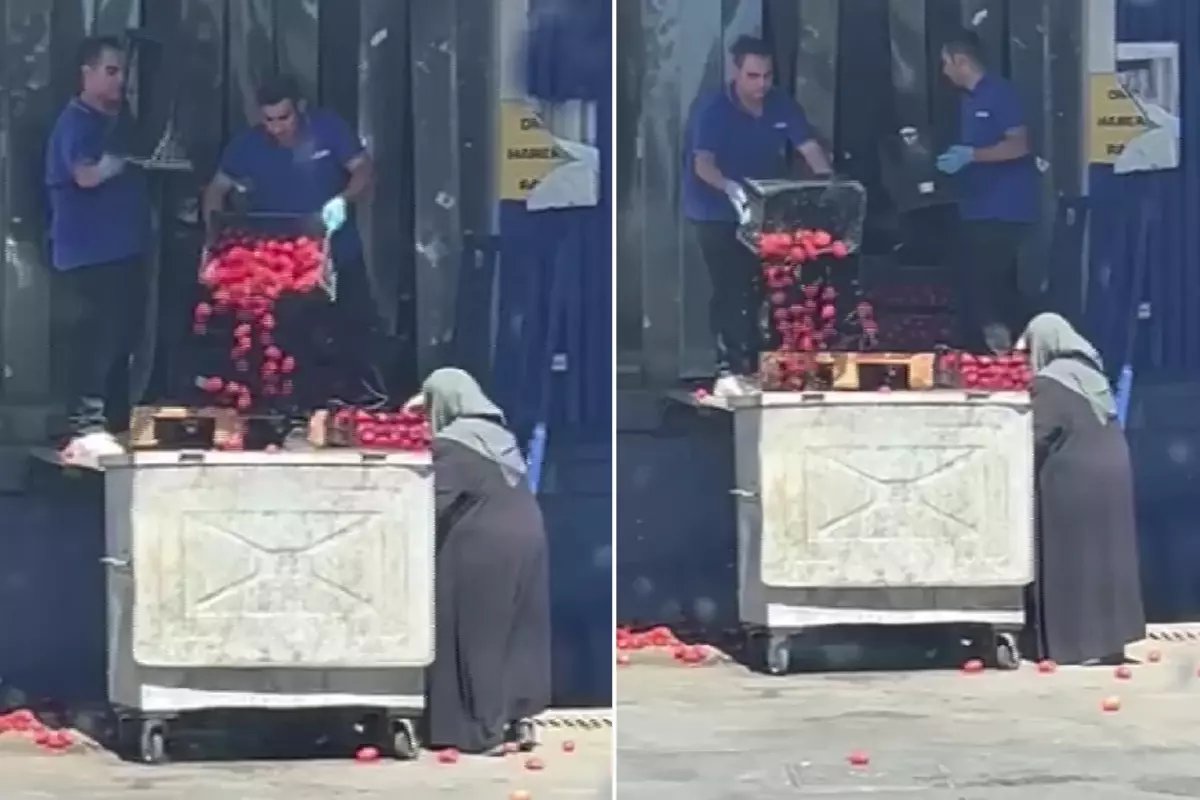 Zincir market kasalar dolusu domatesi çöpe döktü