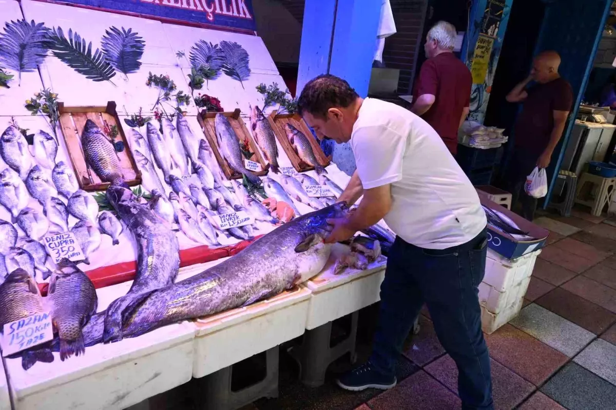 Eskişehir'de 40 Kiloluk Dev Yayın Balığı İlgi Görüyor