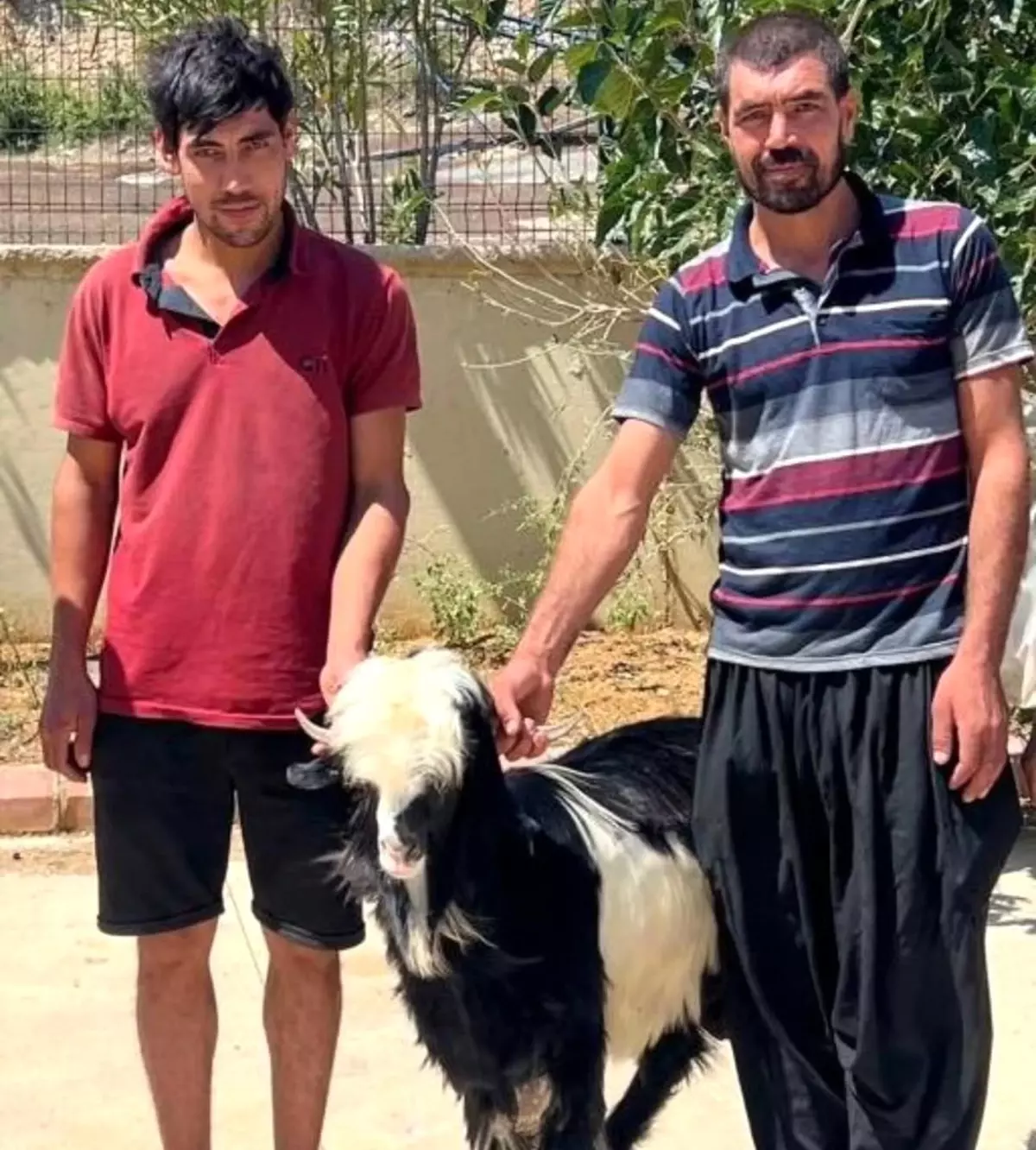 Keçi Çalan Şüpheliler Adana'da Yakalandı