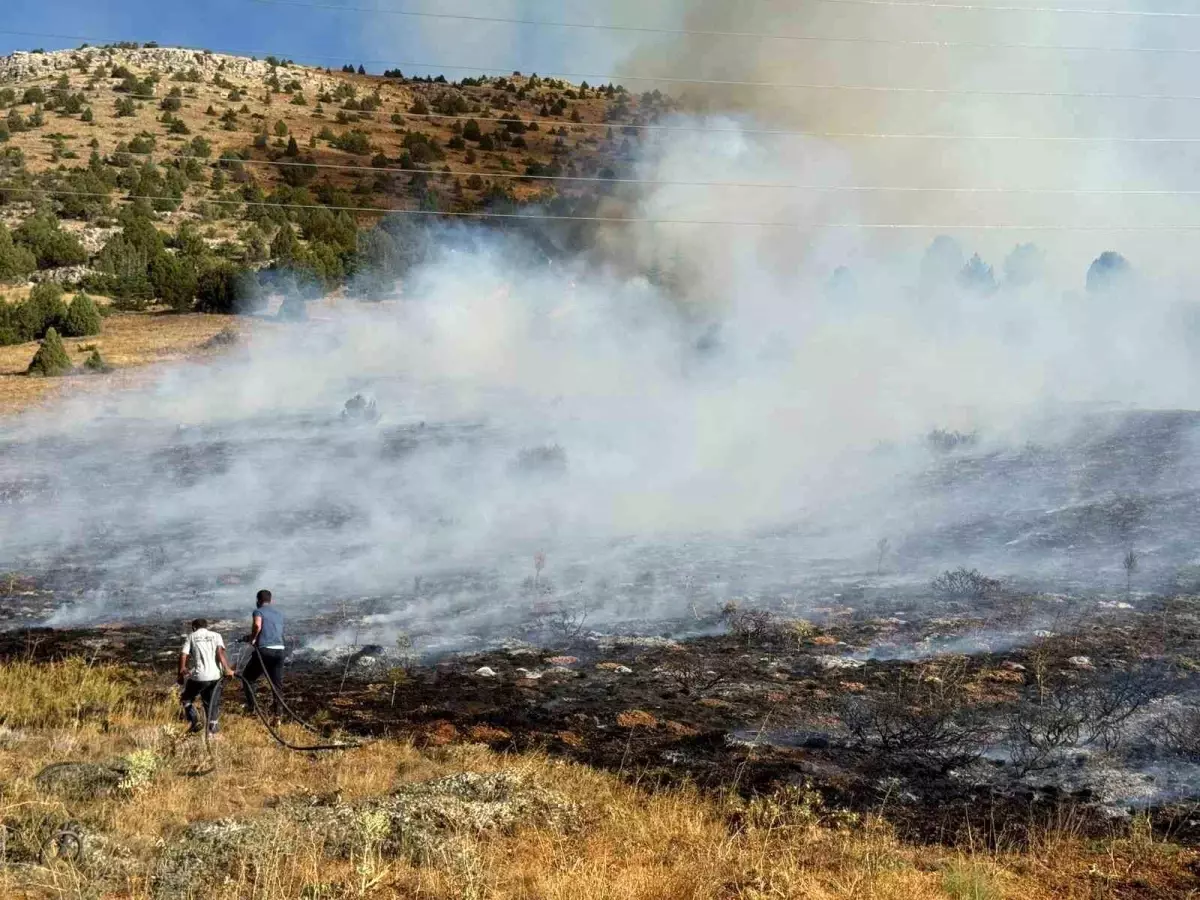 Adana'da Anız Yangını Ormana Sıçradı