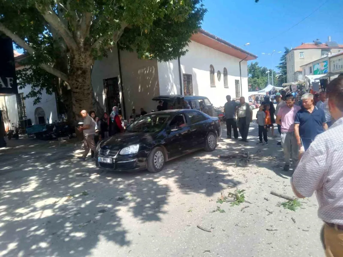 Asırlık Çınar Ağacının Dalı Otomobilin Üzerine Düştü