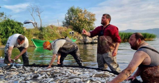 Balık sezonu ne zaman açılıyor? 2025 balık tutma yasağı bitti mi?